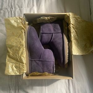 Ugg minis! Never worn